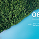 Illustration for article titled The BeachForest Desktop